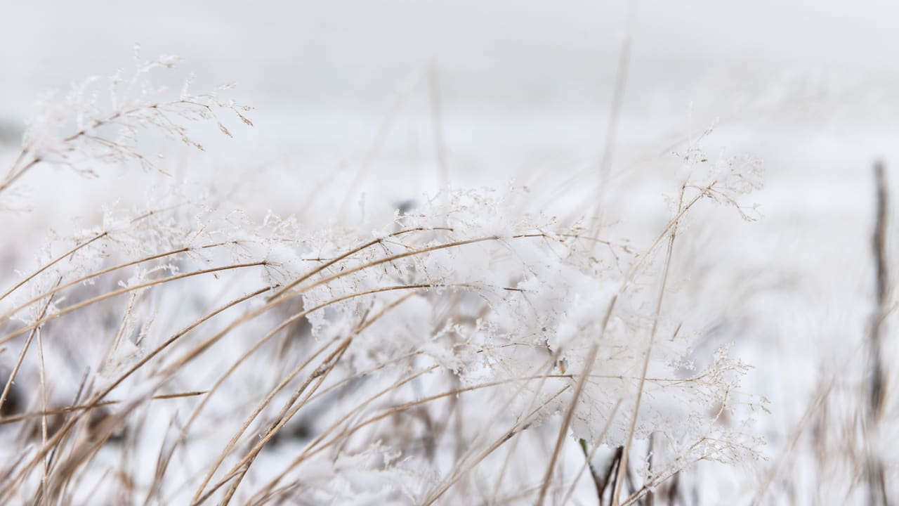 Schnee in den Alpen schon im Oktober möglich – Modelle bleiben unsicher