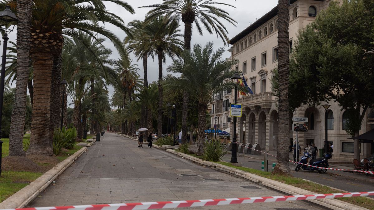 Mallorca ruft höchste Sturmwarnstufe aus – Flugverkehr beeinträchtigt