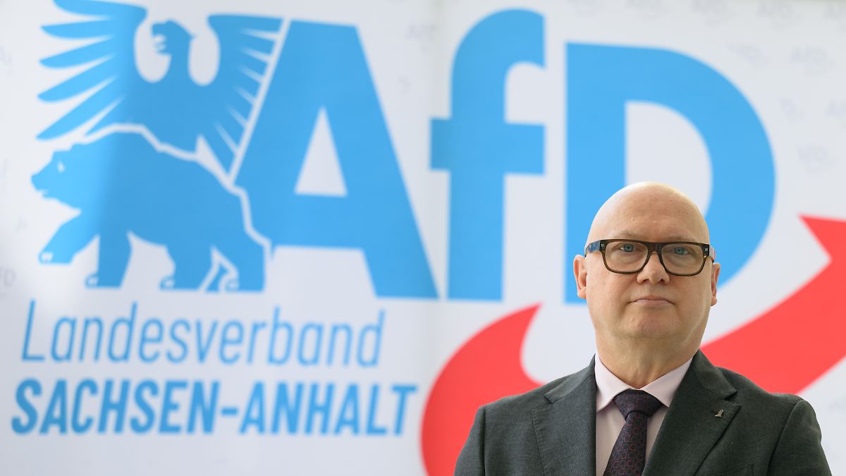 AfD will Zusammenarbeit mit BSW in Sachsen-Anhalt schriftlich festhalten