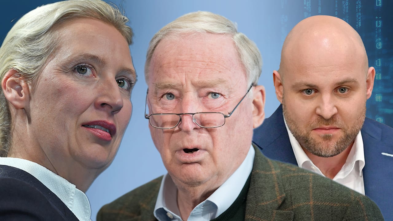 AfD bestätigt Hackerangriff – Veröffentlichung von 421.179 E-Mails wird geprüft