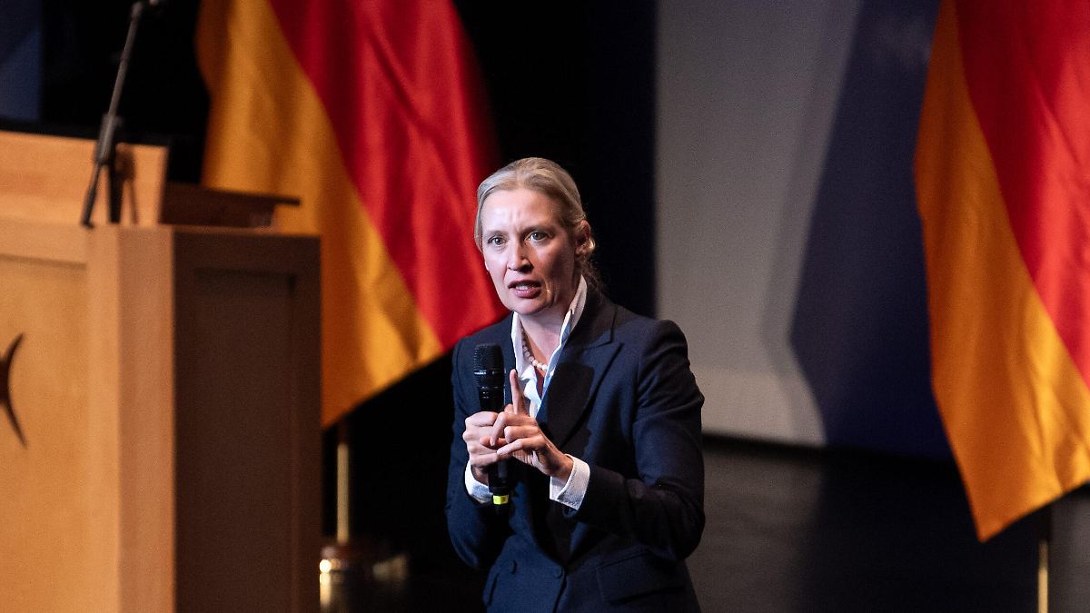 AfD legt Pläne für einen grundlegenden Umbau der EU vor