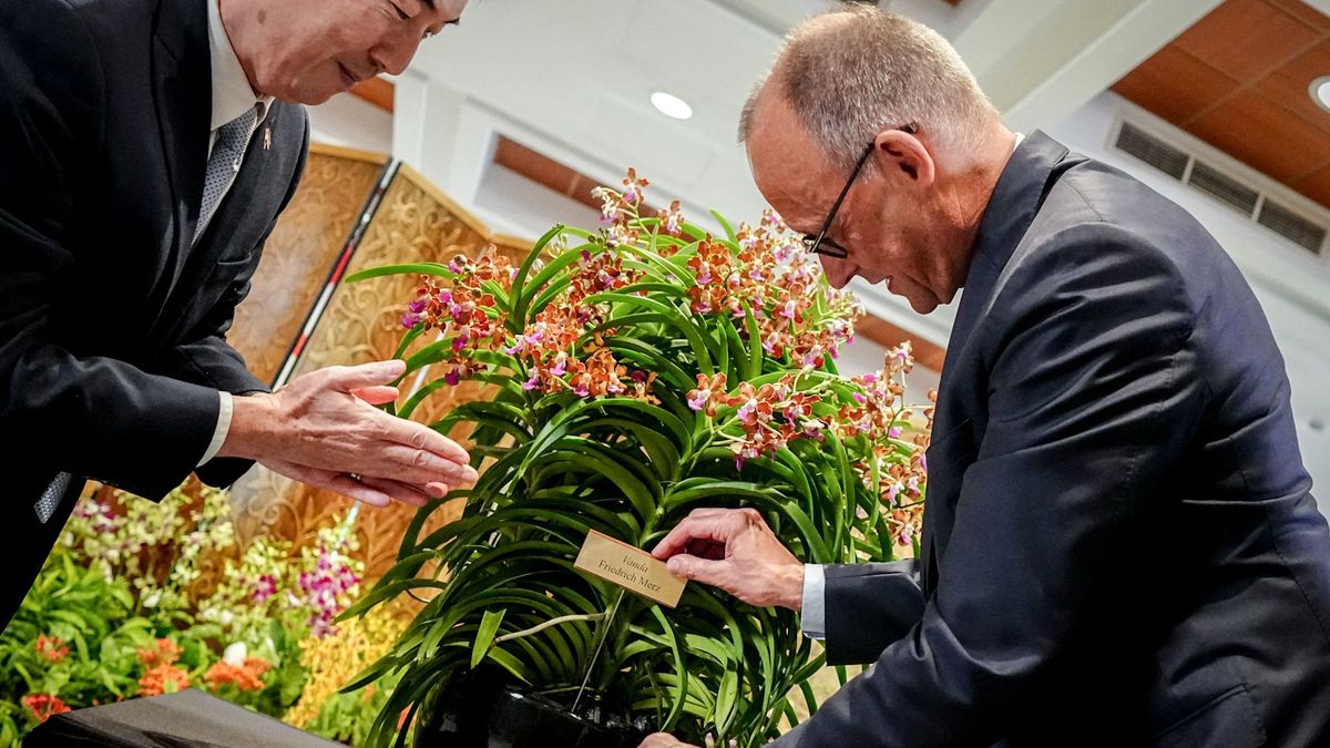 Singapur ehrt Friedrich Merz mit eigener Orchideensorte